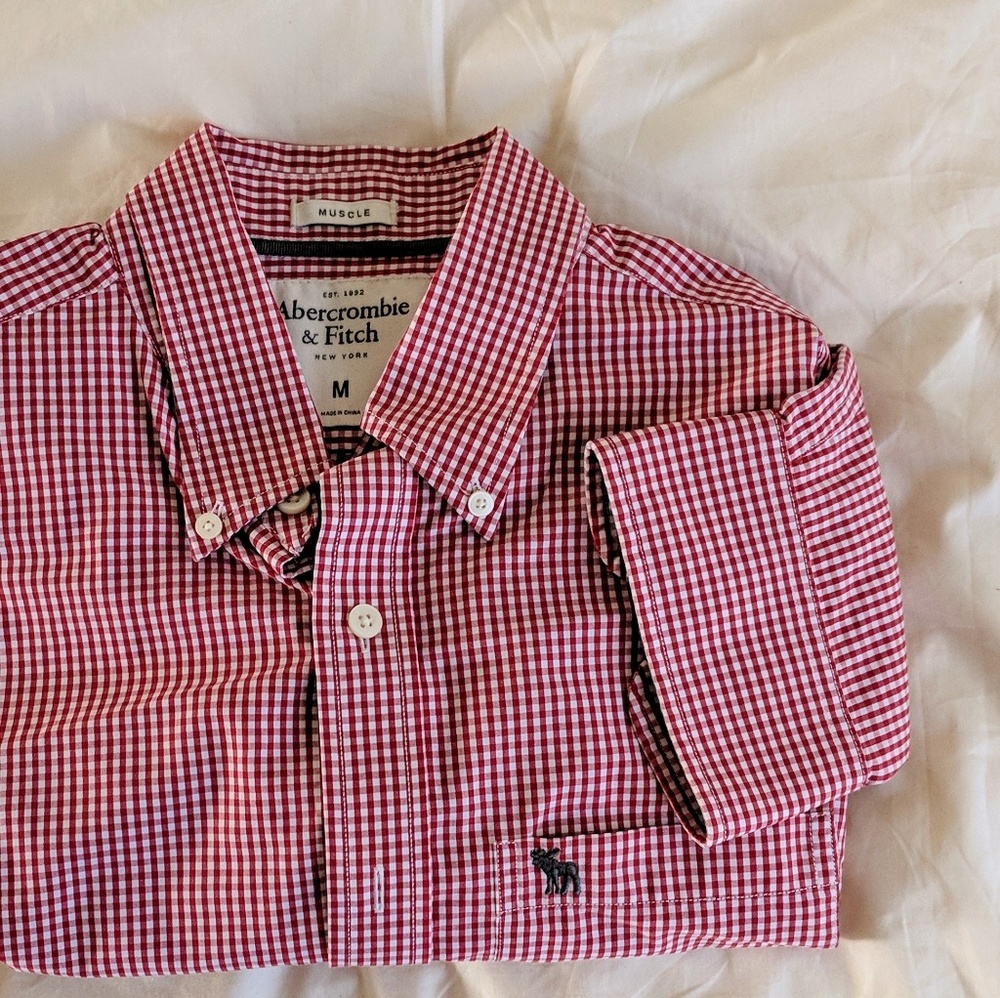 Abercrombie & Fitch Micro Gingham Shirt